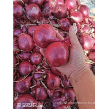 2020 New Crop Fresh Red Onion Wholesale Price From China